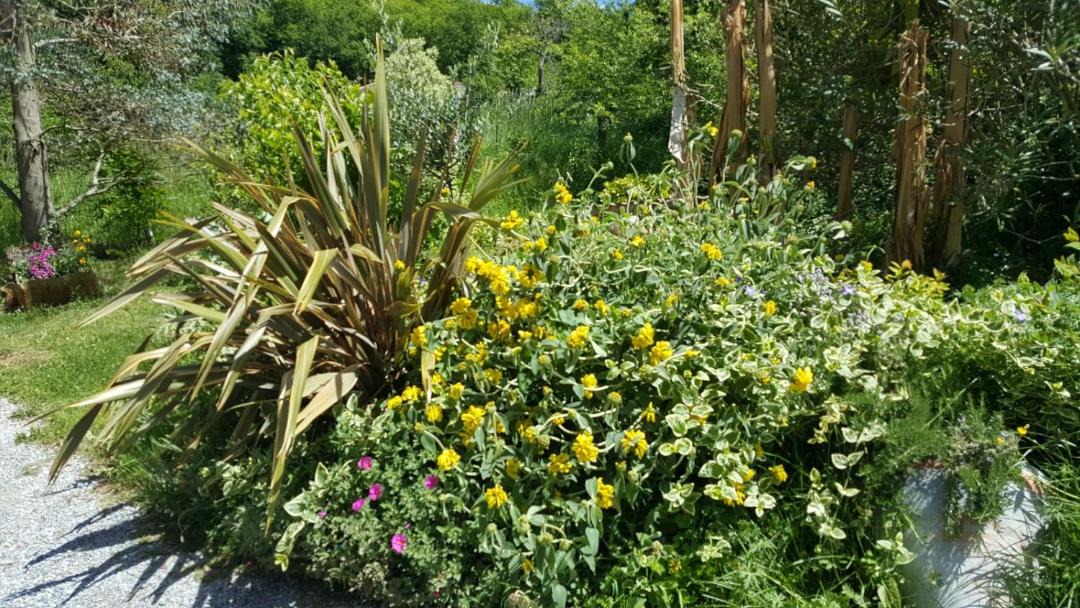 Photo of Outdoor in Mouledous