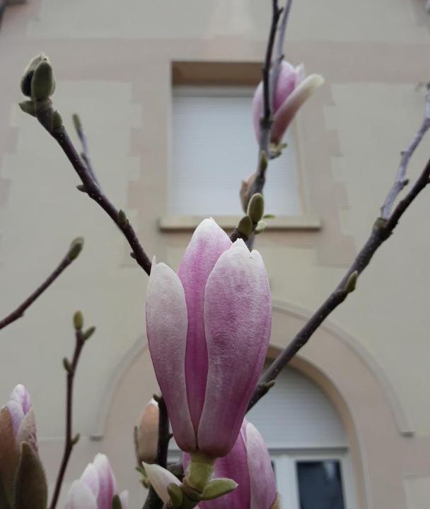 Photo of Others in Willerval