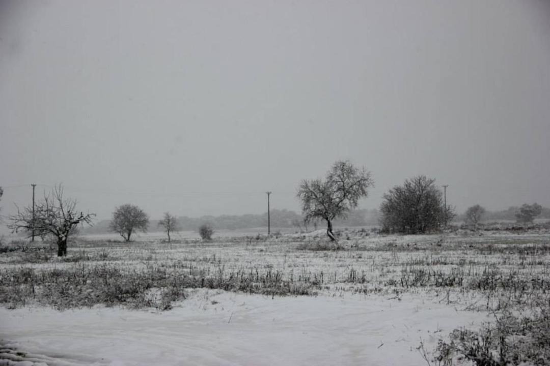 Photo of Others in Fontellas