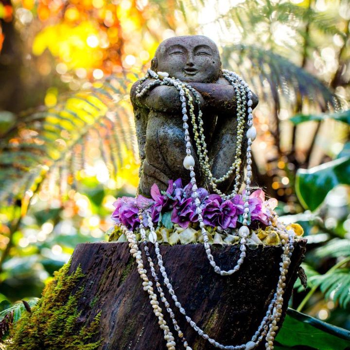 Photo of Others in Volcano