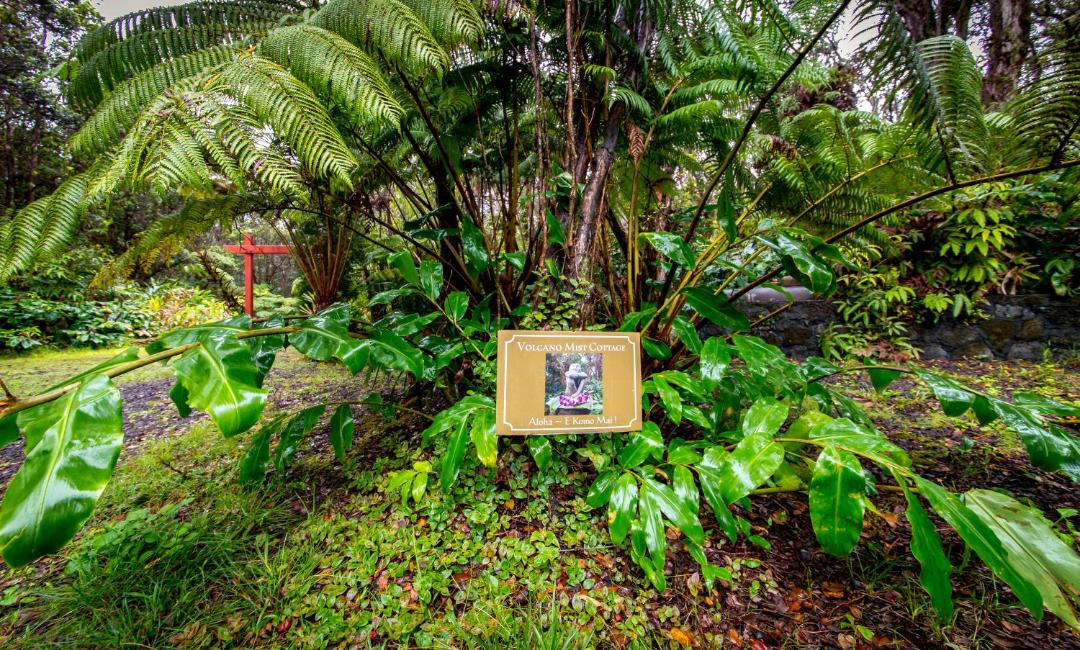 Photo of Others in Volcano