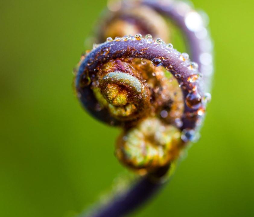 Photo of Others in Volcano