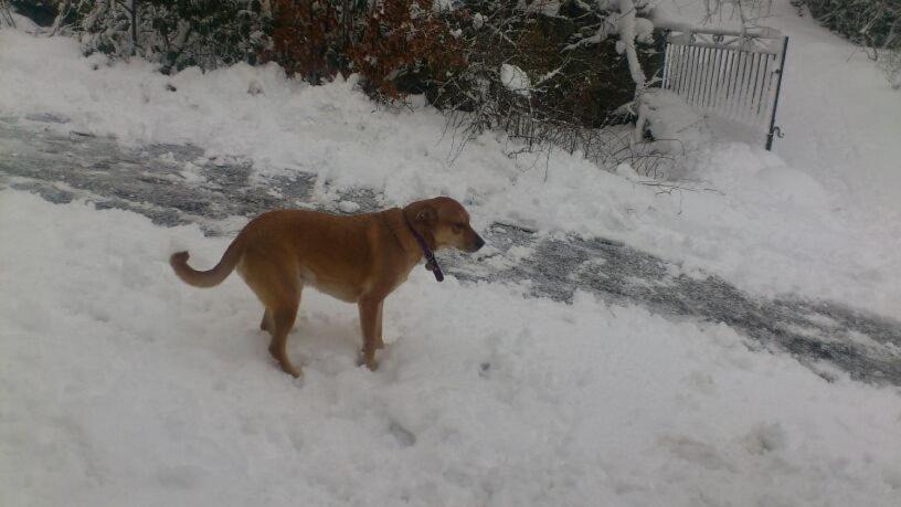 Photo of Outdoor in Blairgowrie