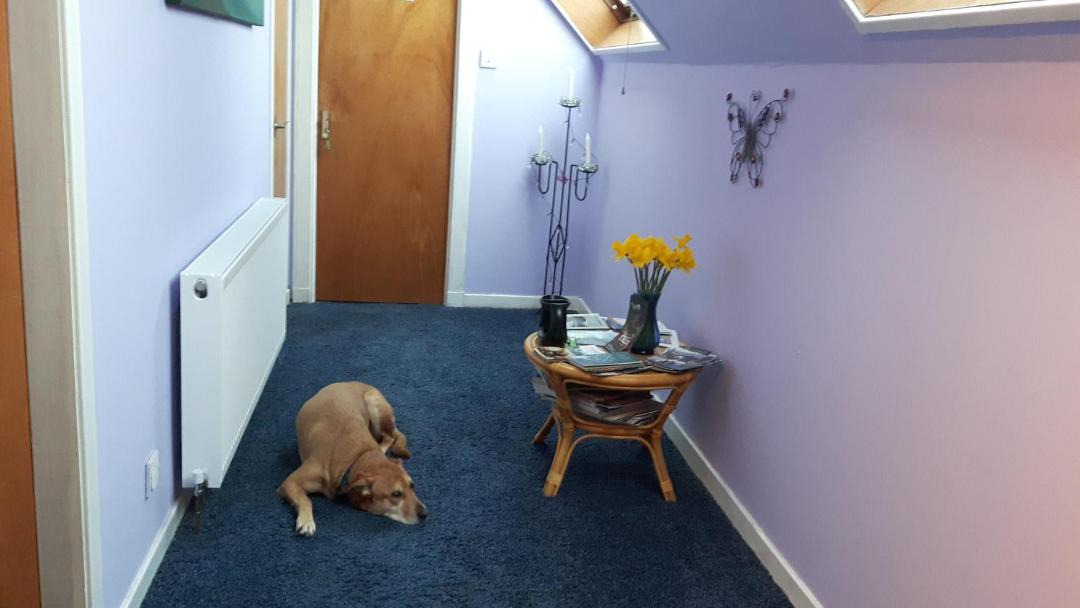 Photo of Others in Blairgowrie