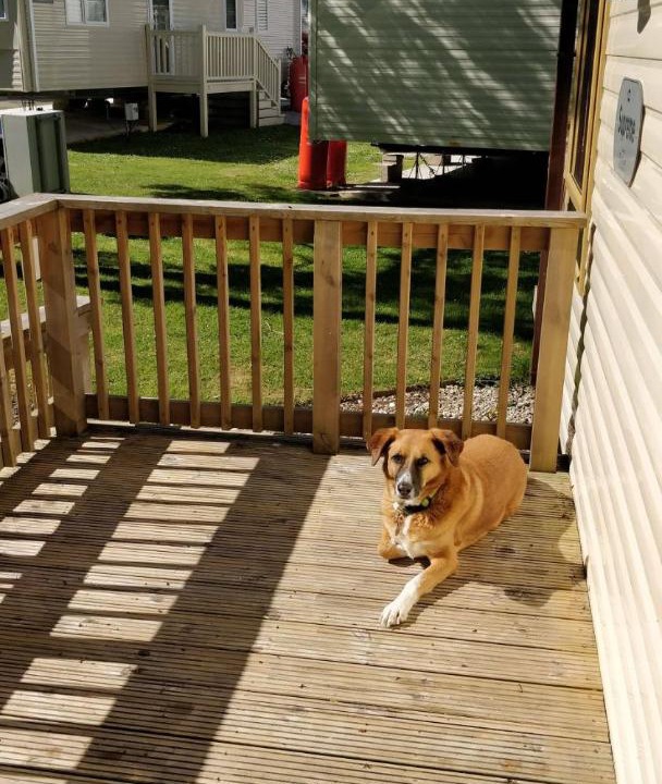 Photo of Others in St Minver