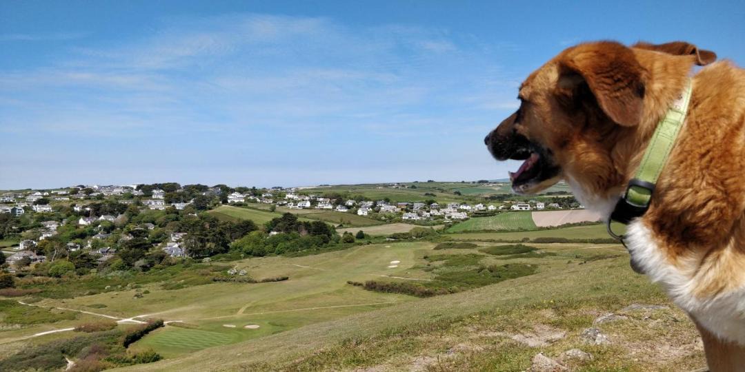 Photo of Others in St Minver