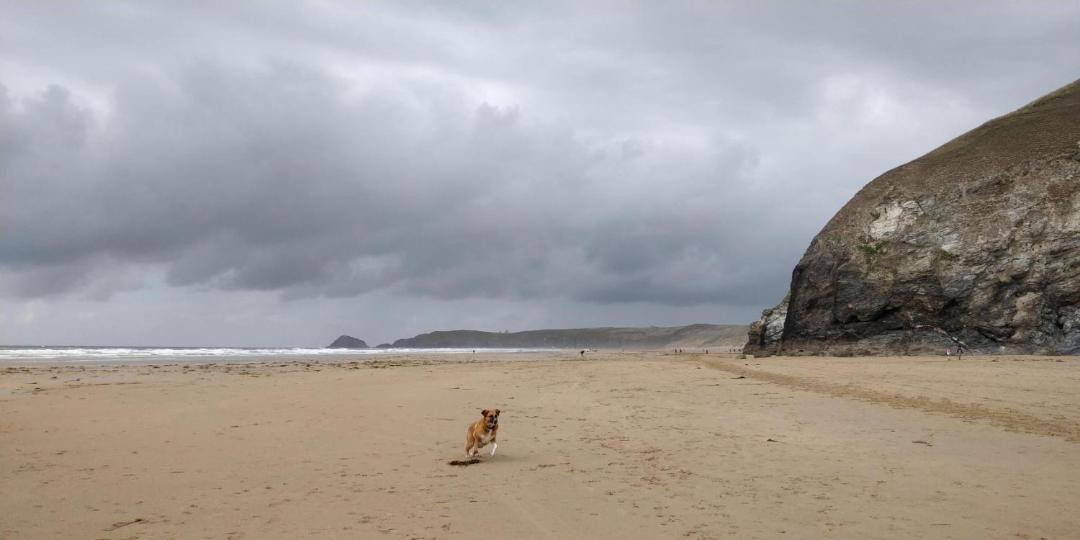 Photo of Others in St Minver