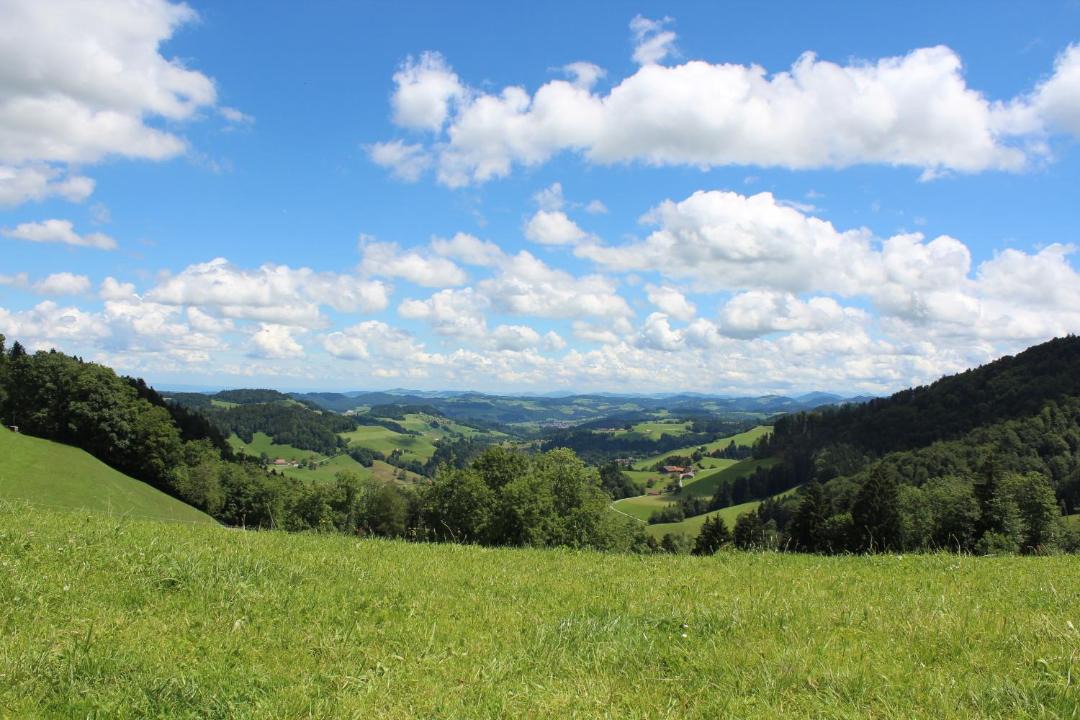 Photo of Others in Mosnang
