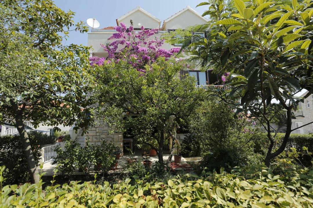Photo of Outdoor in Supetar