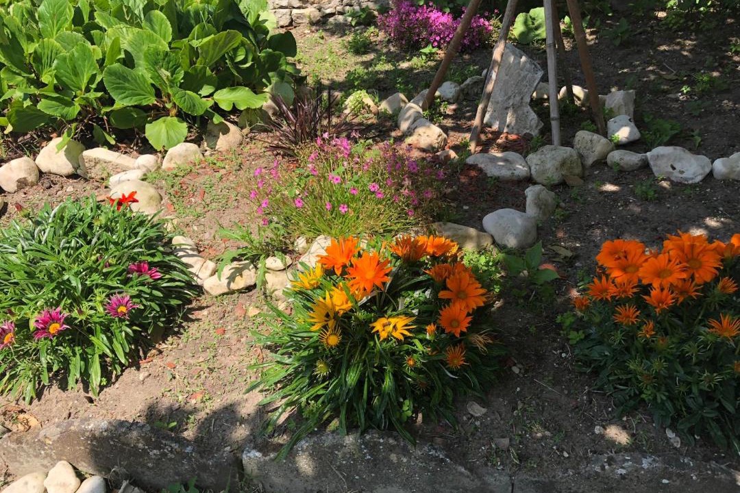 Photo of Others in Quartier des Dunes