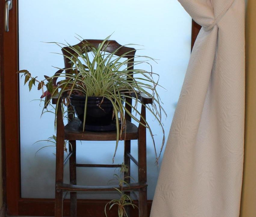 Photo of Others in Bois-le-Roi