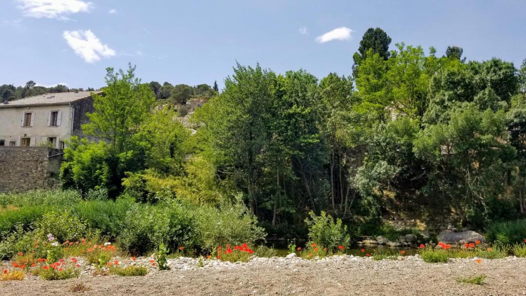 Photo of Others in Lagrasse