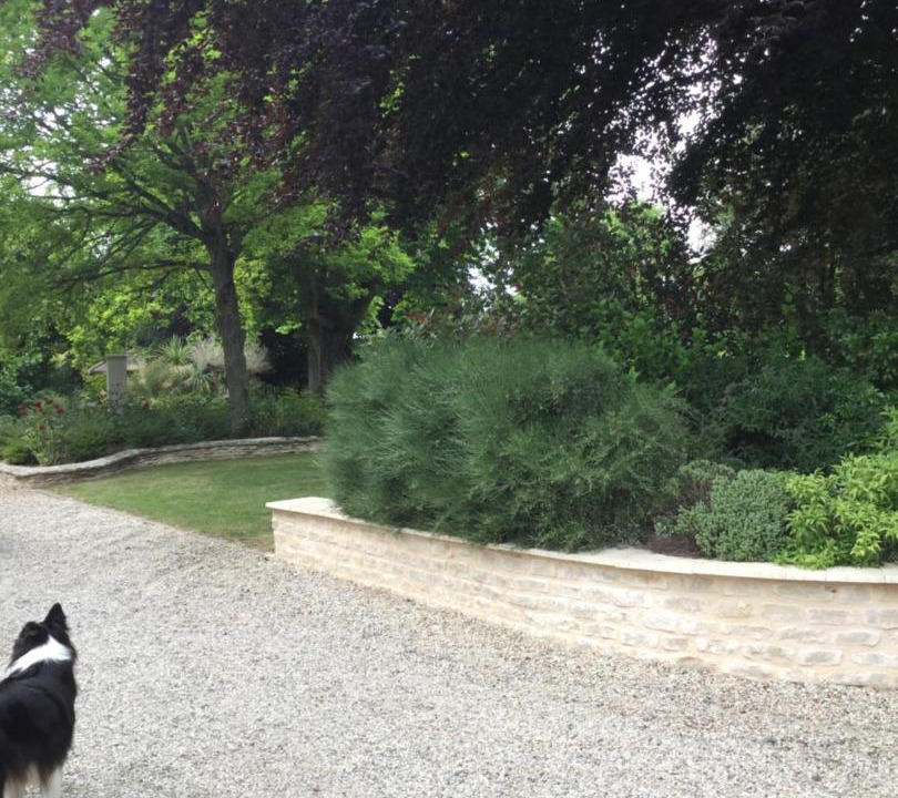 Photo of Others in Saint-Vigor-le-Grand