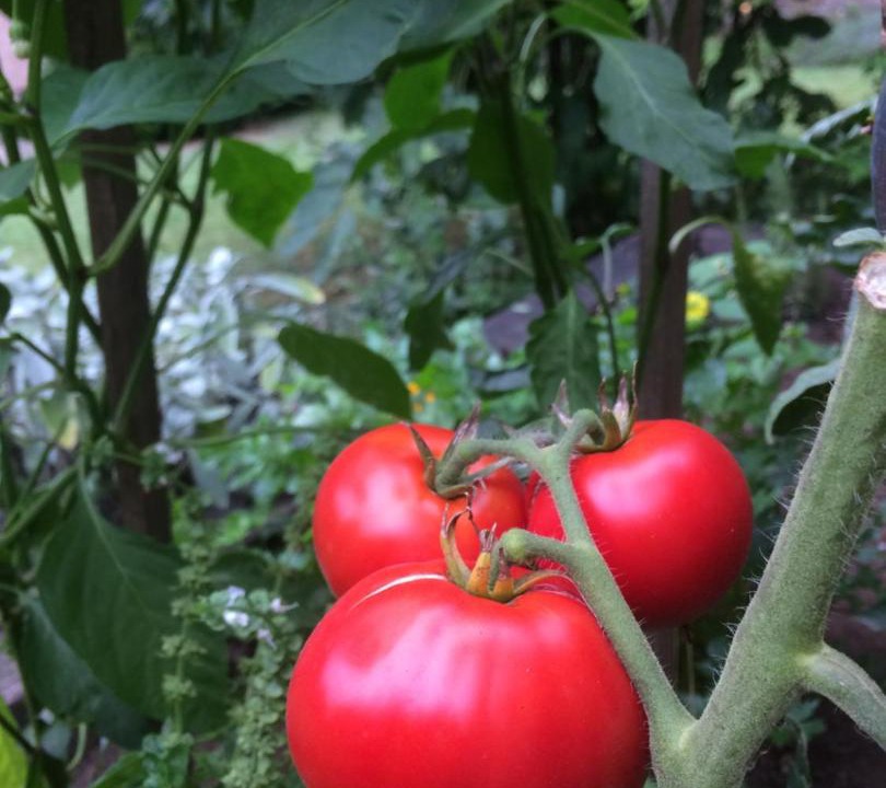 Photo of Others in Maennolsheim