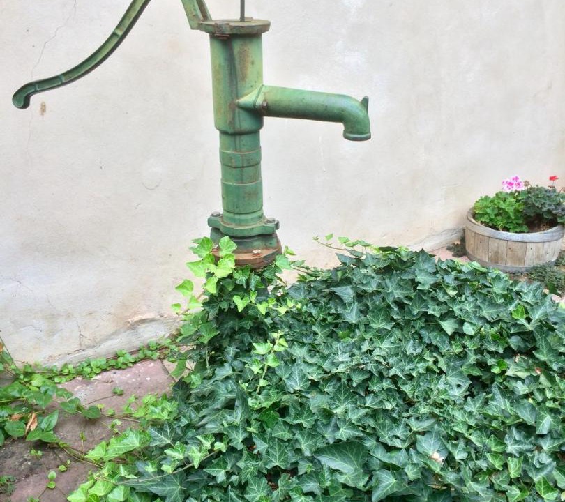 Photo of Others in Maennolsheim