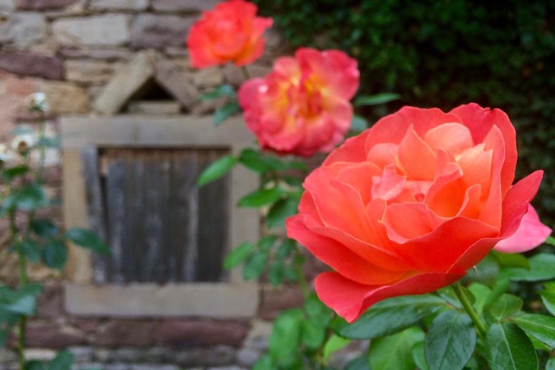 Photo of Others in Maennolsheim
