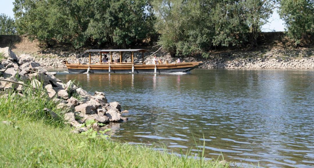 Photo of Others in Saint-Florent-le-Vieil