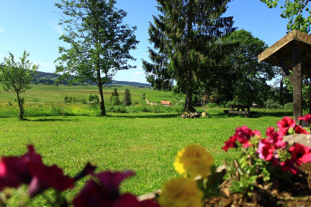 Photo of Others in Saint-Pierre