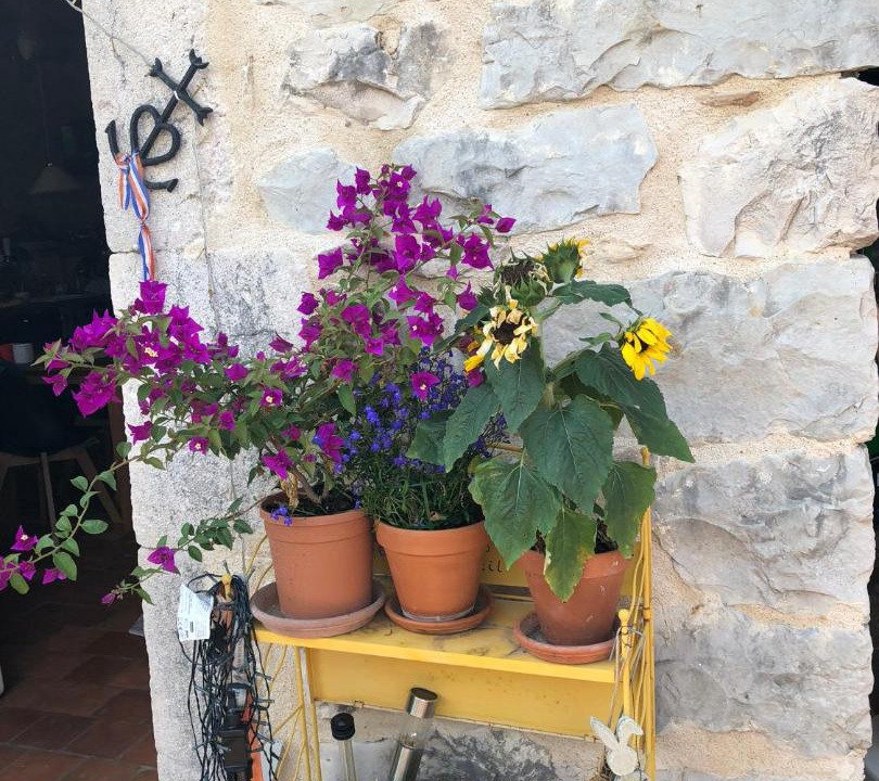 Photo of Others in Gras