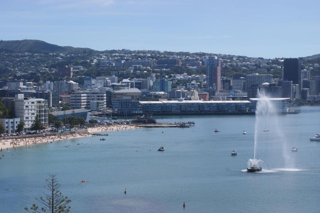 Photo of Others in Oriental Bay