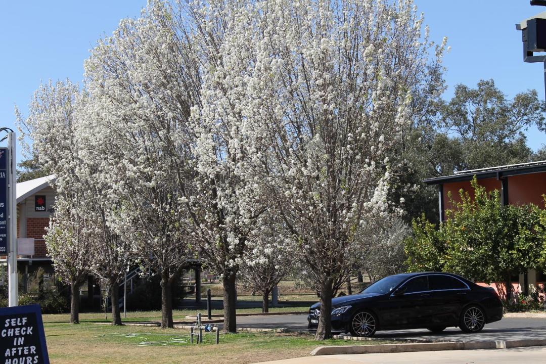 Photo of Others in Forbes