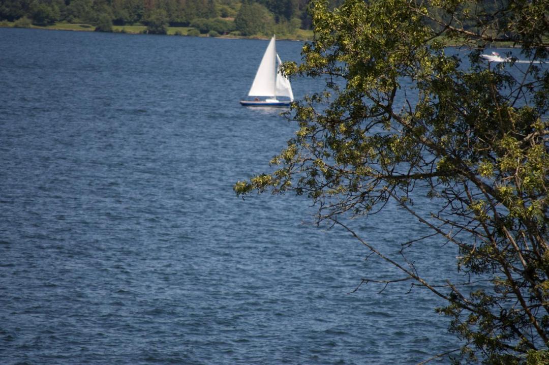 Photo of Others in Lakeridge