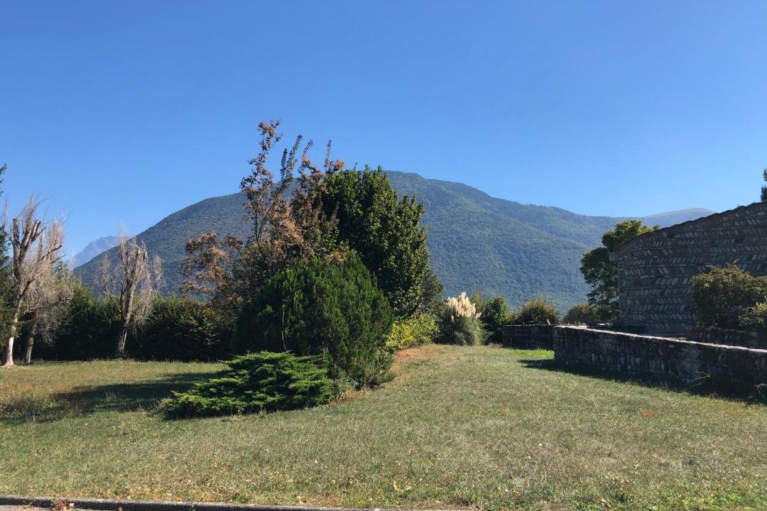 Photo of Others in Vif