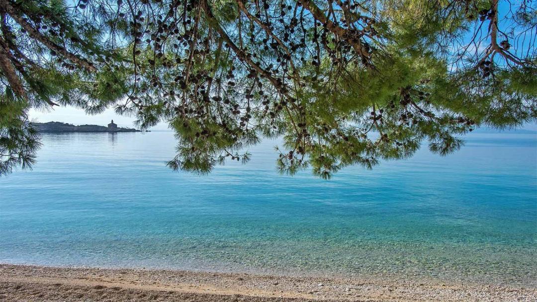 Photo of Others in Donja luka