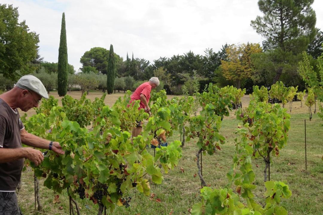 Photo of Others in Puget