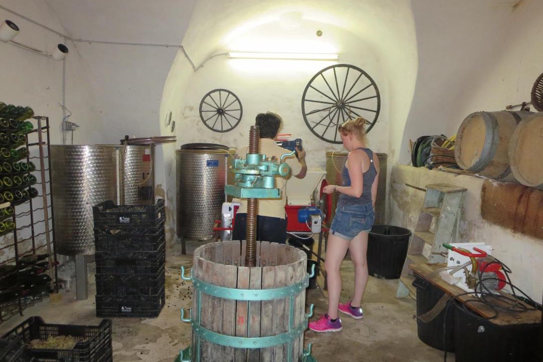 Photo of Others in Puget