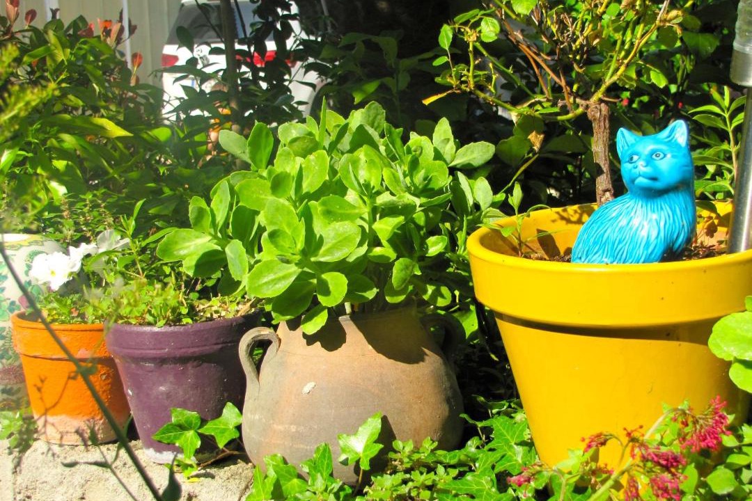 Photo of Others in Saint-Drezery