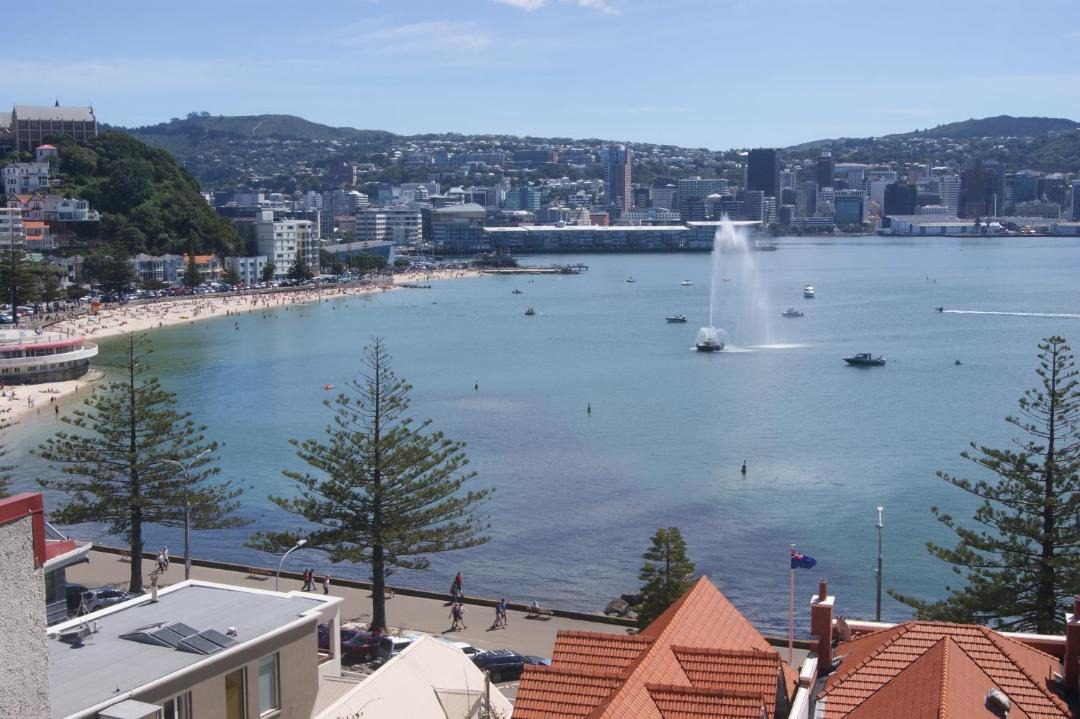 Photo of Others in Oriental Bay