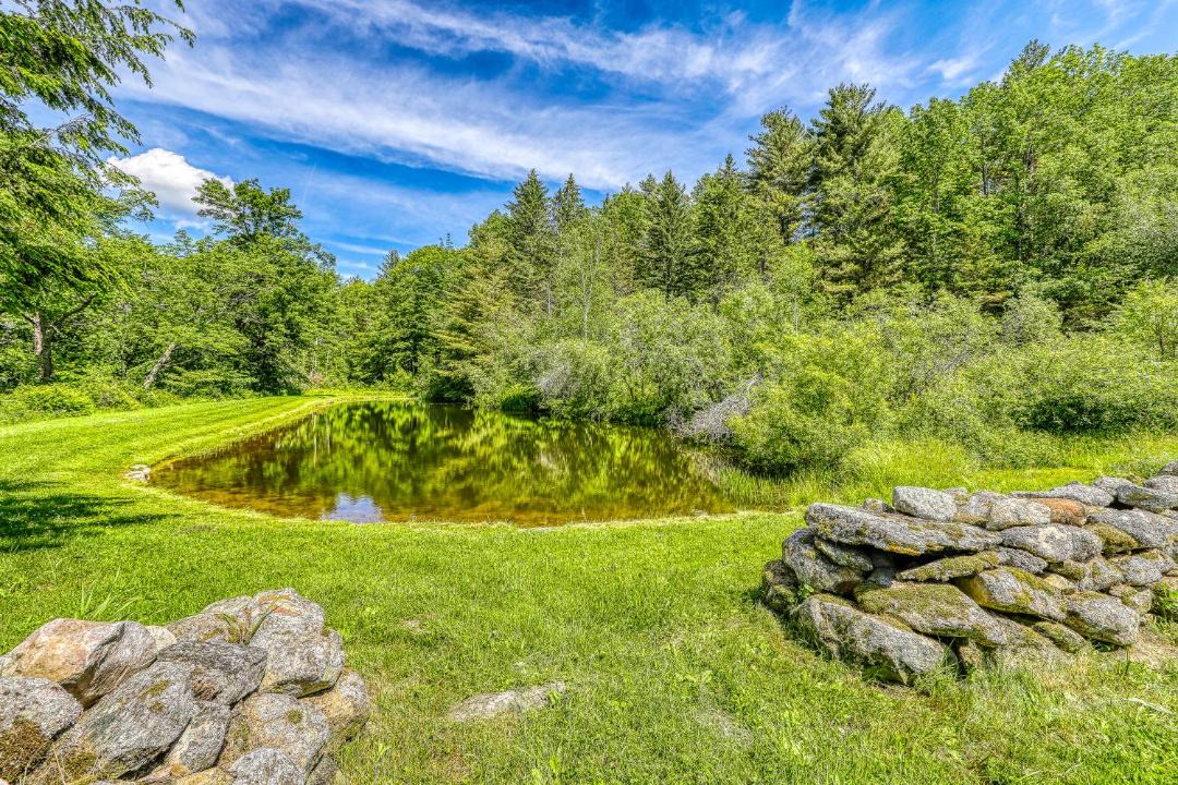 Photo of Others in Belmont