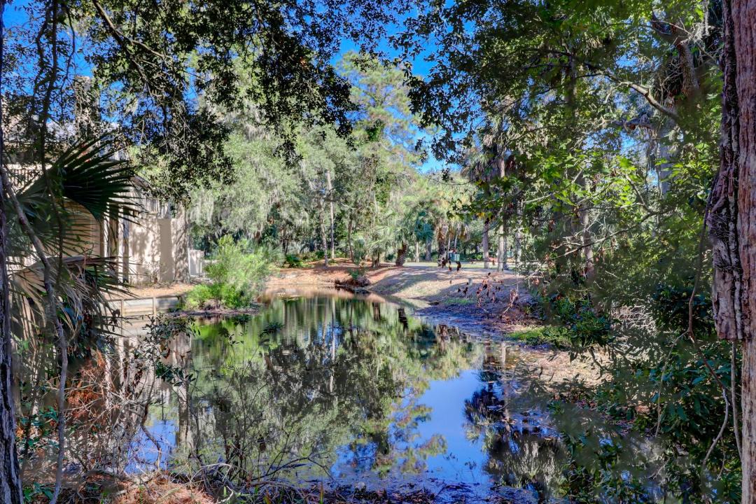 Photo of Others in Shipyard Plantation