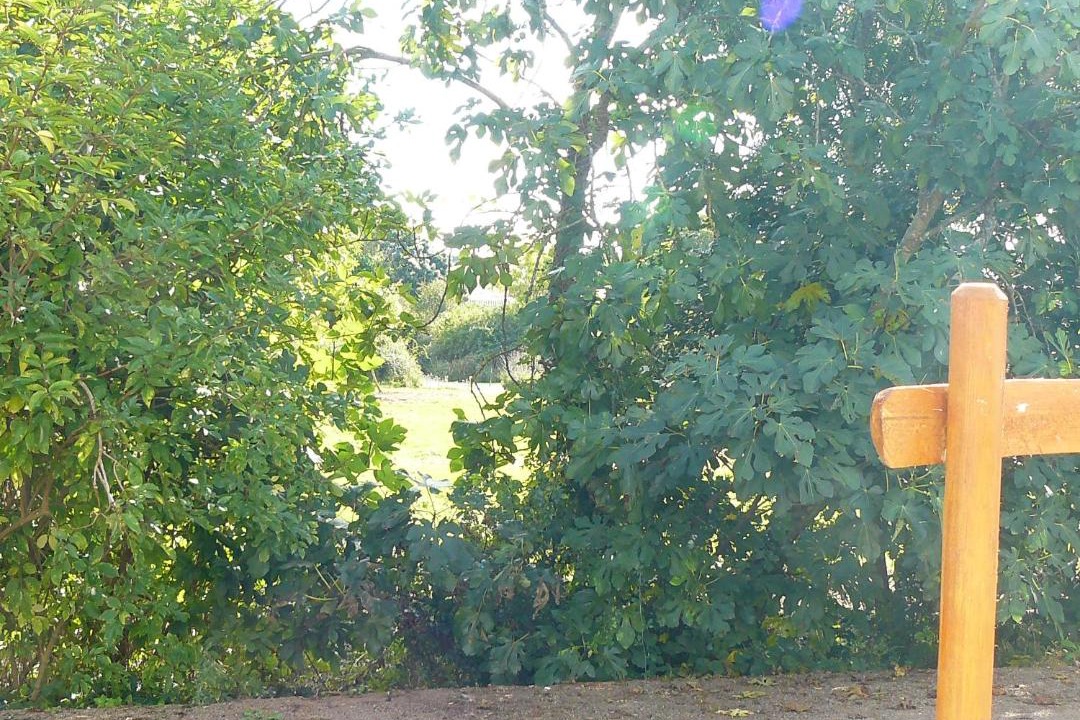 Photo of Others in Saint-Vincent-sur-Jard