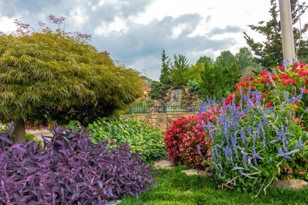 Photo of Outdoor in Sautee Nacoochee