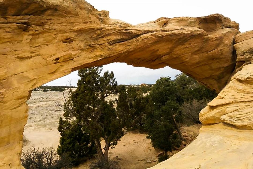 Photo of Others in Moab