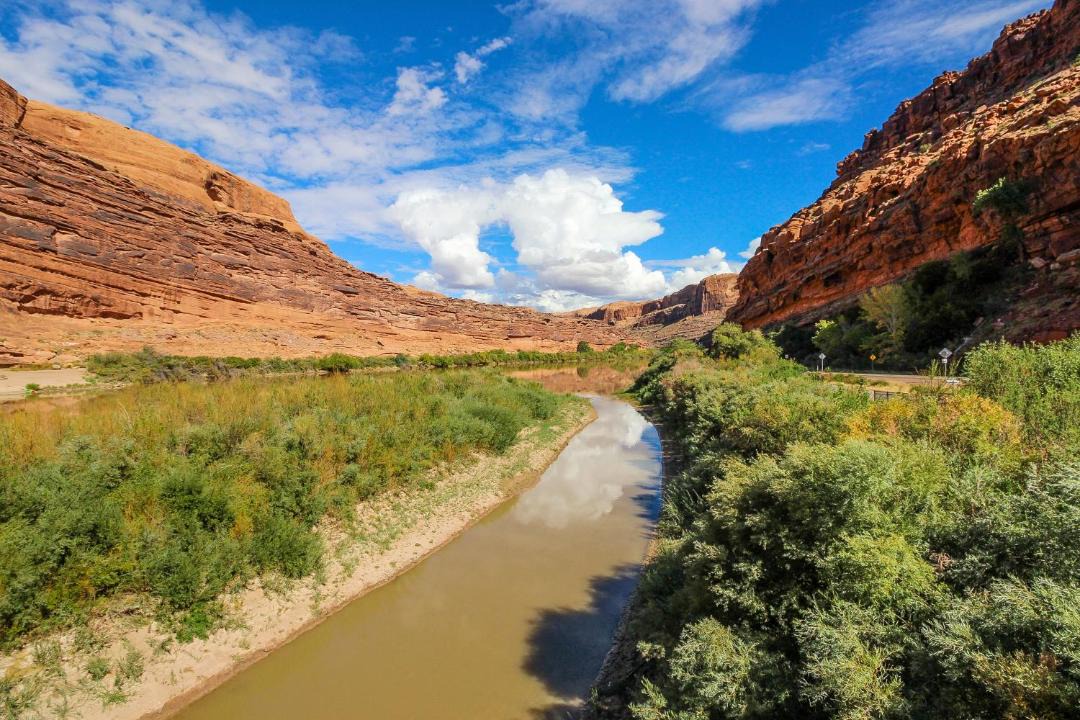 Photo of Others in Moab