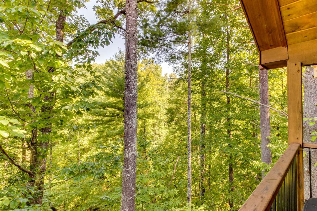 Photo of Others in Sautee Nacoochee