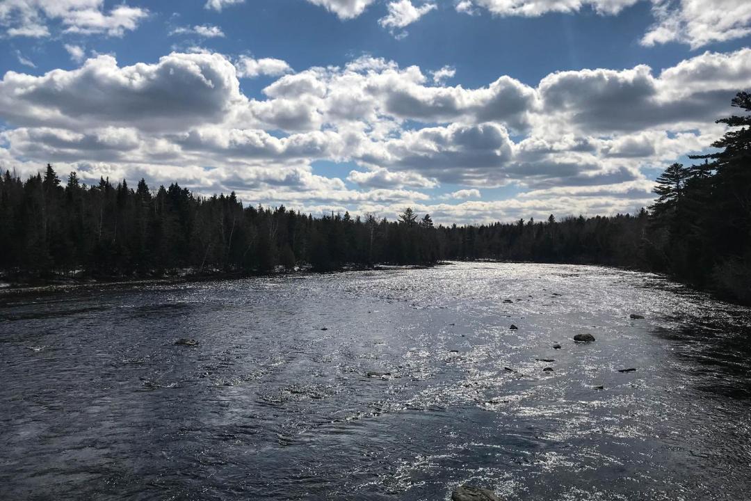 Photo of Others in Northeast Somerset