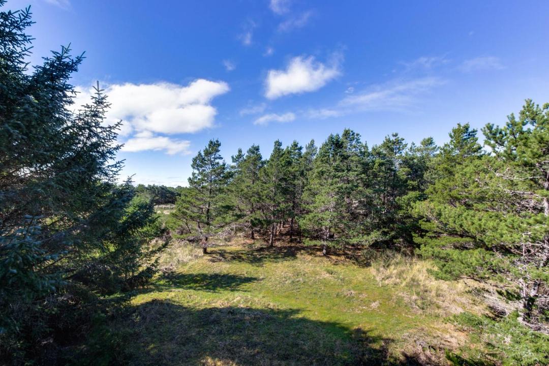 Photo of Others in Neskowin