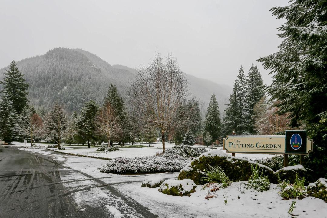 Photo of Others in Welches