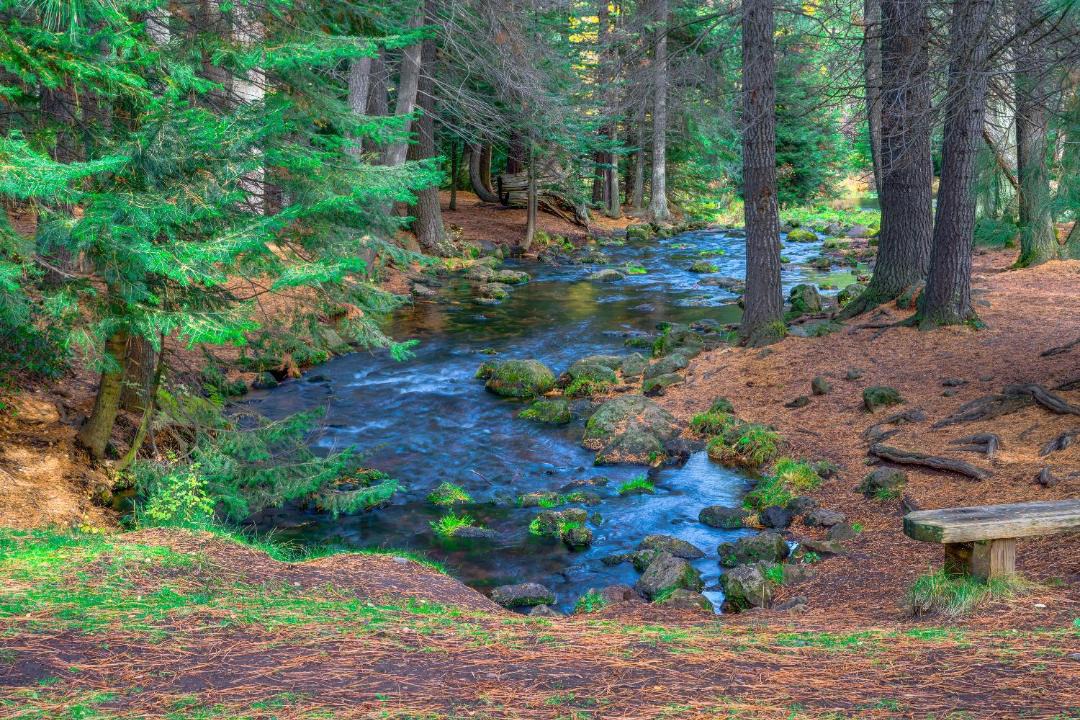 Photo of Outdoor in Black Butte Ranch