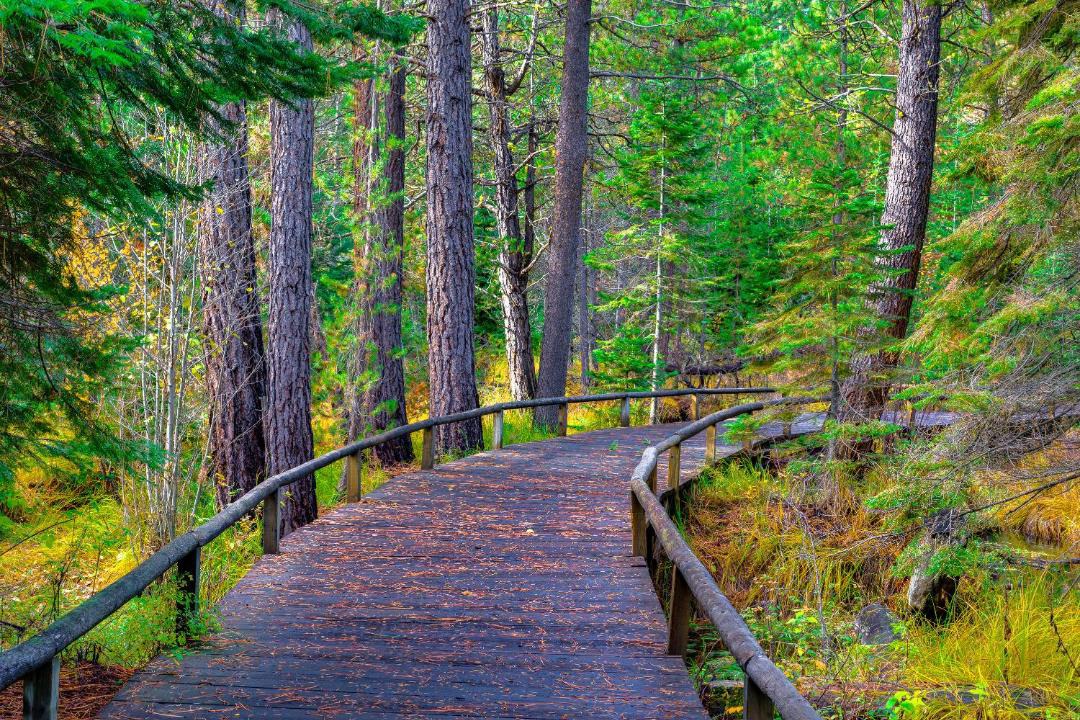 Photo of Others in Black Butte Ranch