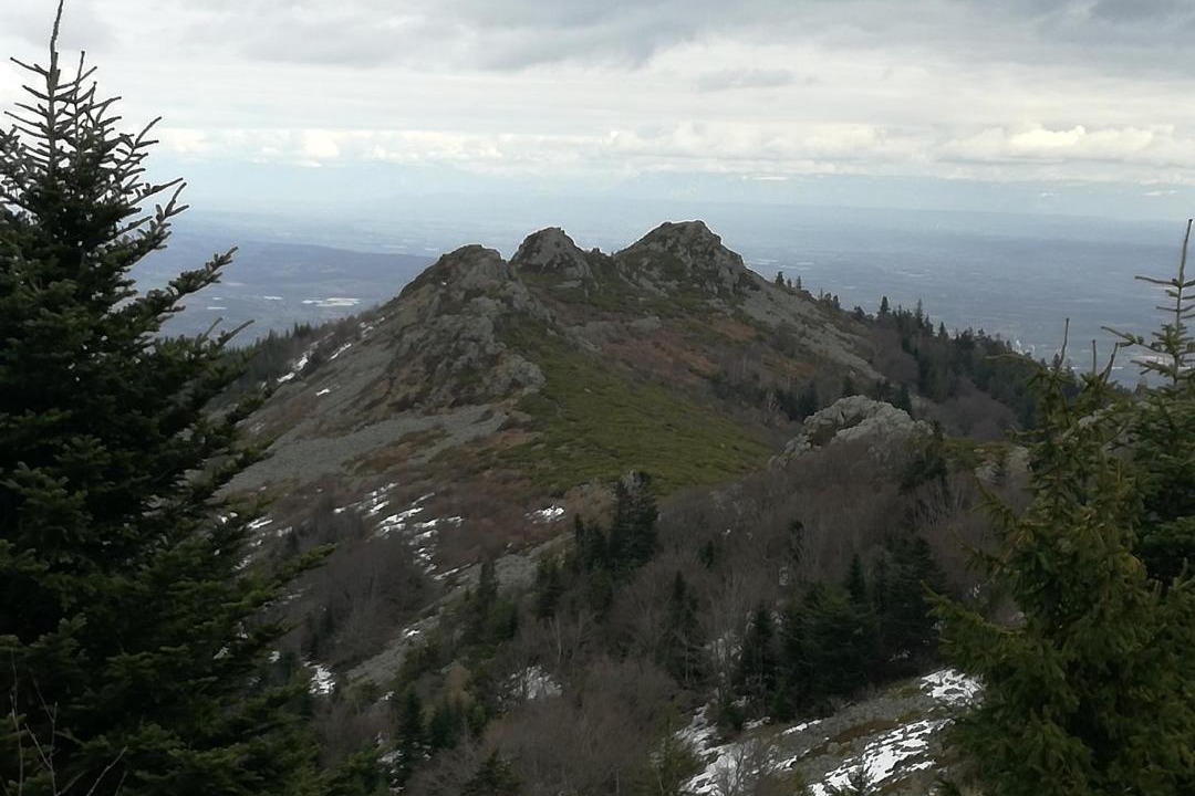 Photo of Others in Veranne