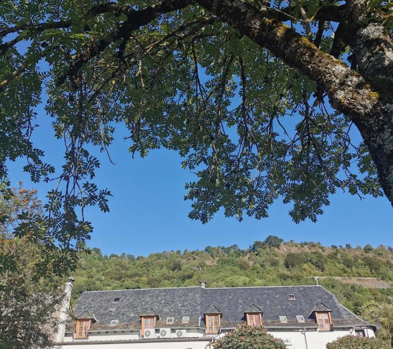 Photo of Others in Saint-Martin-sous-Vigouroux