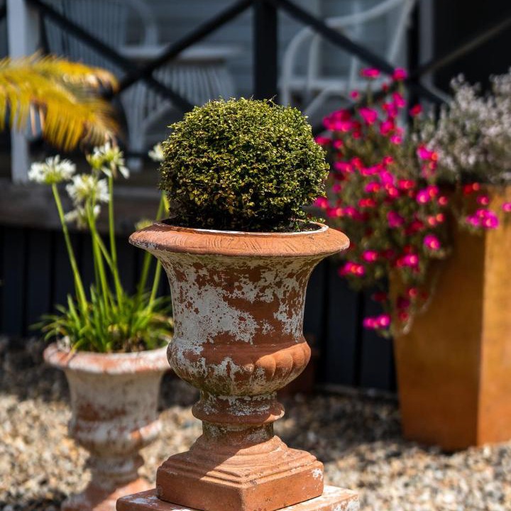 Photo of Others in Russell