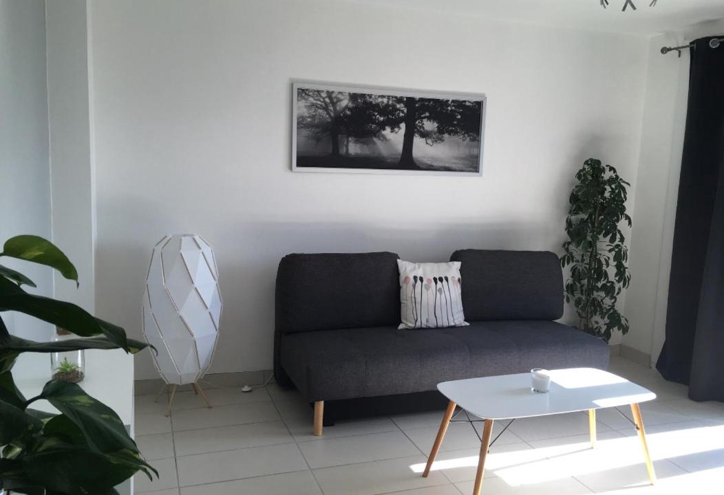 Photo of Livingroom in Saint-Martin-d'Heres