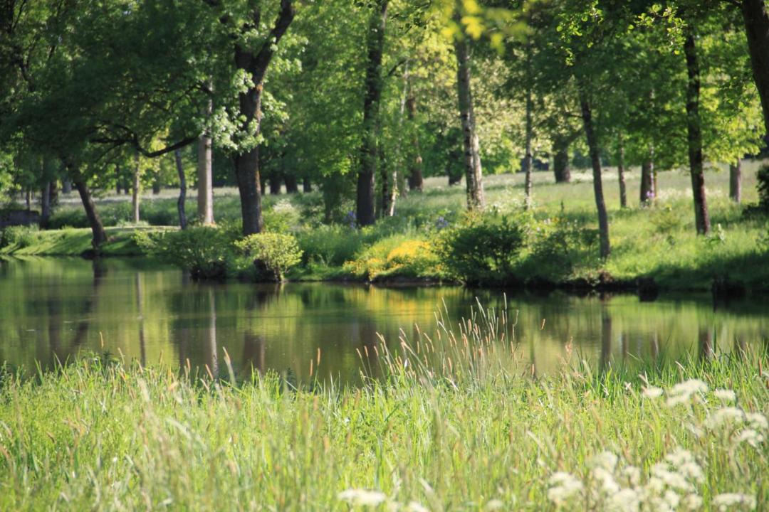 Photo of Others in Brissac-Quince