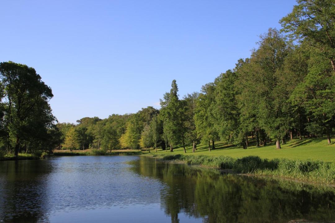 Photo of Others in Brissac-Quince